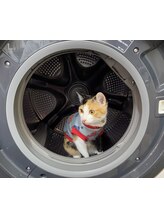 SIGNS 六町駅 南花畑店