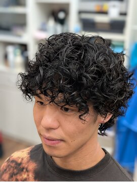 トリイ(TORII) プードルスパイラル・マッシュウルフ