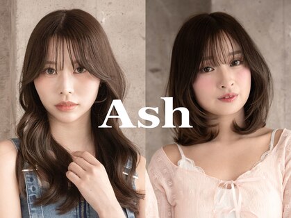 アッシュ 池上店(Ash)の写真