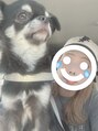 トゥーリ 長崎住吉店(tuuli)&nbsp;愛犬のさしみ♪いつも癒してくれます♪ブログにも出てきますよ♪