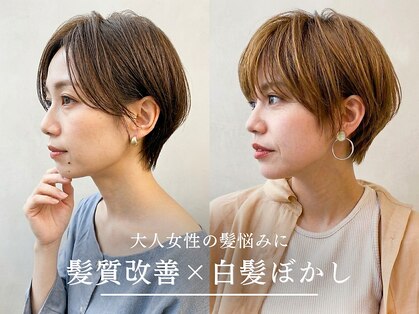 ハートクリップノーティス 天理店(HEART CLIP Notice)の写真