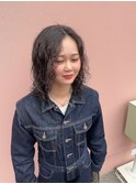 プードルパーマ