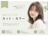 【迷ったら】カット+カラー*オプションカラー剤、トリートメント追加可能