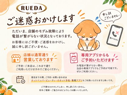 ルーダ(RUEDA)の写真