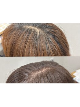 【白髪染めしながら白髪予防】エイジングのお悩みには水素カラー★白髪・細毛に◎[川崎/京急川崎/学割U24]