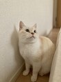 アルピナ 菅谷店(alpina)&nbsp;猫飼ってます♪