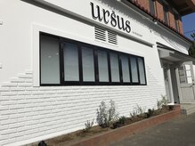 アーサスバイヘッドライト  旭店(ursus by HEADLIGHT)
