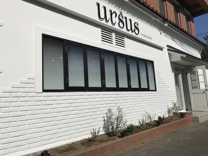 アーサスバイヘッドライト  旭店(ursus by HEADLIGHT)の写真