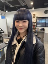 ドッグスター(dog star)&nbsp;ネイビーブルー[登戸/向ヶ丘遊園]