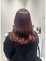 ガリカ 大名(Gallica) 艶のある暖色系カラー/チェリーレッド/ワインレッド