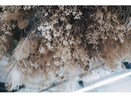 シュニコ(chounico.)の写真