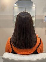 シダ(sida)&nbsp;[sida 鹿毛] アッシュグレー