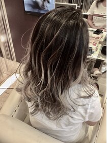 ステラプレミアム(Steller PREMIUM) 2019Ｓｎａｐ　ハイライト　パールカラー
