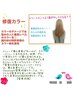 ★ご新規限定★プレミアム修復カラー+カット￥10000～
