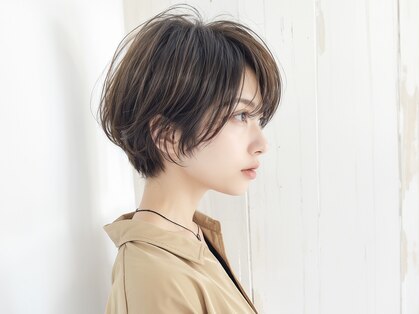 ビルド(build)の写真