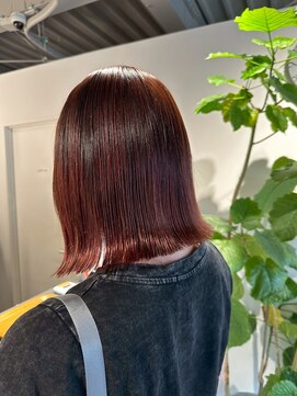 ギネス(Giness) ボルドーシャインボブ