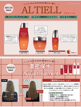 ラルリーブル(Lall Libre)の写真/【3席のみ/個室あり】Aujua新シリーズ導入＊オージュアライン最高のツヤを提供できる5STEPトリートメントも
