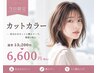 【当日限定♪】 カット+カラー ¥13200 → ¥6600