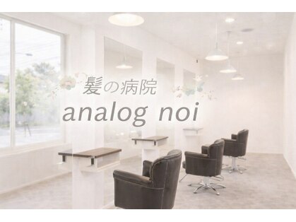 アナログノイ(analog noi)の写真