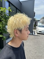 ブラック(BLACK) ショートウルフ