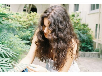 メロウ(MELLOW)の写真