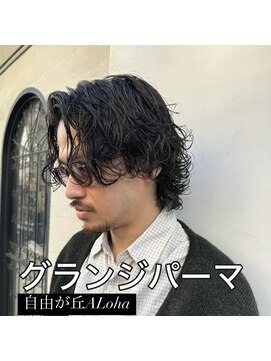 アロハ(ALoha) 《　メンズ　》グランジパーマ