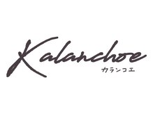 カランコエ(kalanchoe)