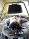 ロッソ アソシエイト ウィズヘア(Rosso associate with hair)の写真/【新メニュー！頭侵浴スパ】"マッサージスパ×かけ流し×浸け込み"が誘う。酵素と炭酸水でデトックス！