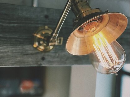 チョビー(Chobii)の写真