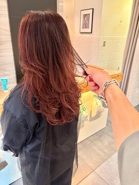 エイゾー(EIZO) ウルフレイヤー/ウルフカット/ ロングレイヤー/レイヤーカット