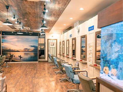 リノ(Lino)の写真