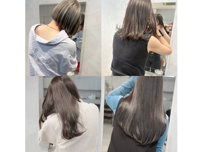 ミント(mint)の写真