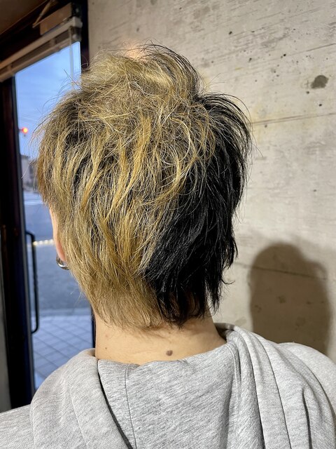 2トーンカラー/金髪&黒髪