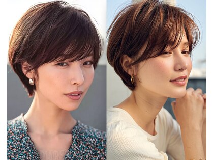 メルバ(Melva)の写真