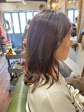 アンズガーデン(Ann's Garden) 可愛いカラーイルミナコーラル