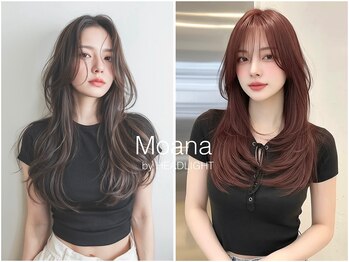 Moana by HEADLIGHT 宜野湾店【モアナ バイ ヘッドライト】