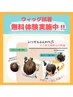 ウィッグ(トップピース)試着無料体験のみ☆30分
