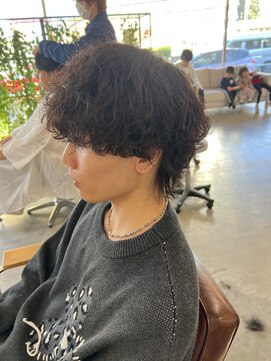サロン(SALON) ウルフパーマスタイル