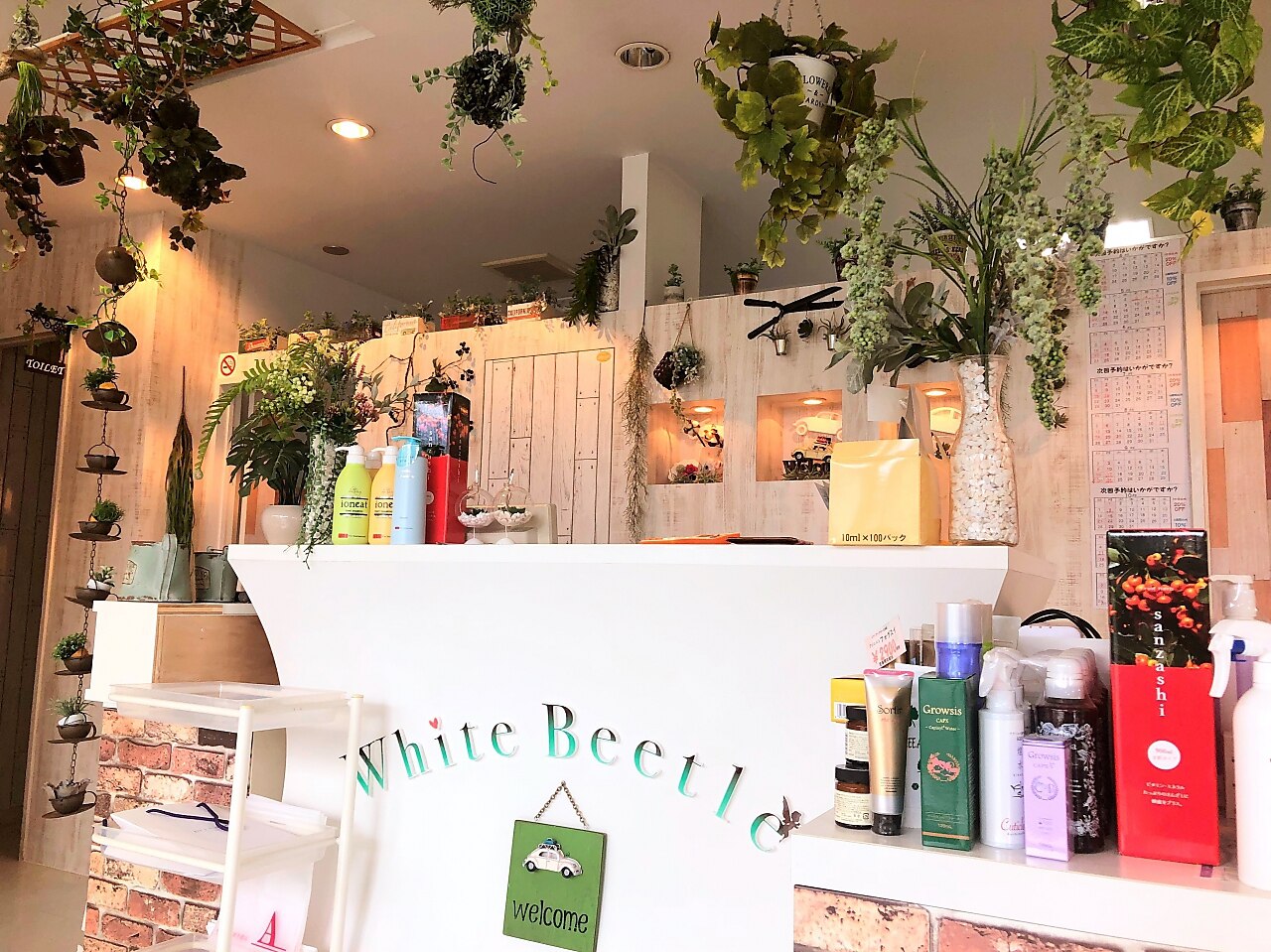 美容室 ホワイトビートル(White Beetle)｜ホットペッパービューティー