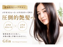 グフィン(Gfin)