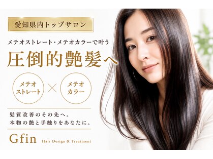 グフィン(Gfin)の写真
