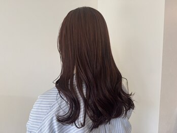 イニシオ(inicio)の写真/プロによるサロンケアで潤う頭皮と真の美しい髪へと導きます◎毛先まで潤いたっぷりのサラツヤ髪を実現♪
