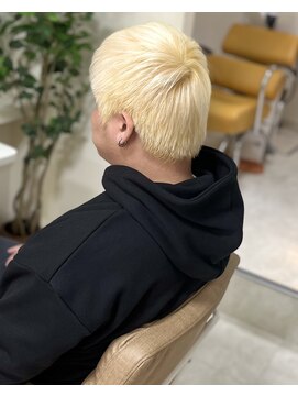 カリーナ(CARINA) ブロンド/ハイトーンカラー