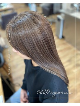 シード(SEED) ハイライトデザインカラー