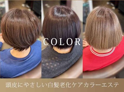 ピスケス(pisces)の写真