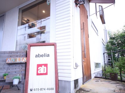 アベリア(abelia)の写真