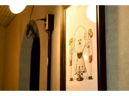 カリン(Karin)の写真