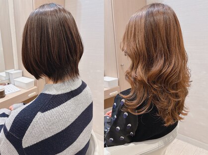 コーエン(cowen)の写真