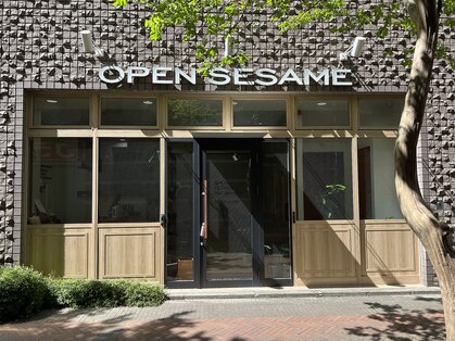オープンセサミ(OPENSESAME)の写真