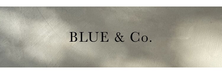 ブルーアンドカンパニー(BLUE&Co.)のサロンヘッダー